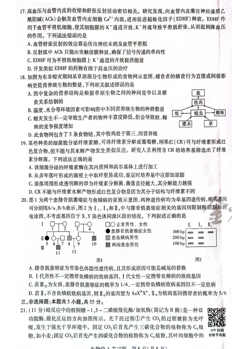 天星黑龙江押题卷生物AB卷电子版_2024高考押题卷_12024天星全系列_@@@天星临考押题密卷汇总重复_2024年tx高考临考押题密卷黑龙江专版