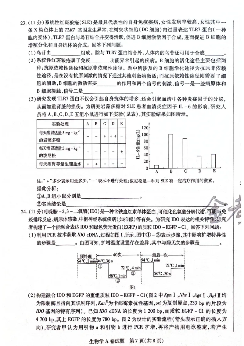天星黑龙江押题卷生物AB卷电子版_2024高考押题卷_12024天星全系列_@@@天星临考押题密卷汇总重复_2024年tx高考临考押题密卷黑龙江专版