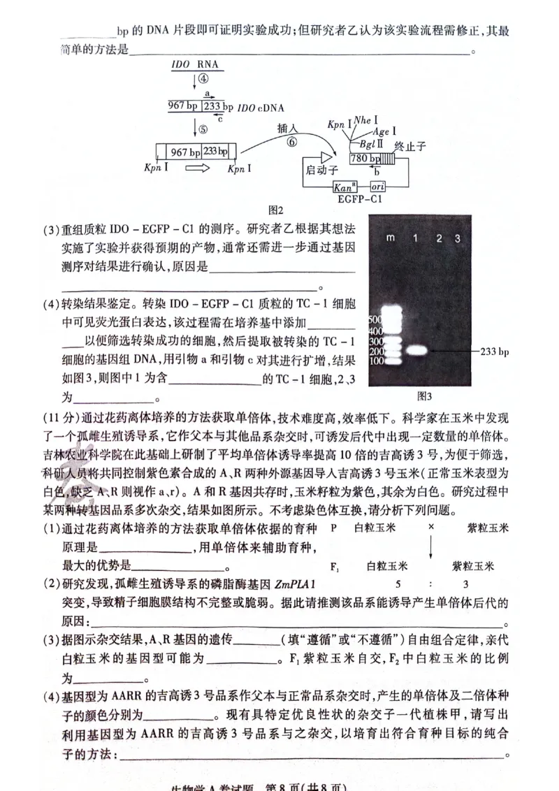 天星黑龙江押题卷生物AB卷电子版_2024高考押题卷_12024天星全系列_@@@天星临考押题密卷汇总重复_2024年tx高考临考押题密卷黑龙江专版