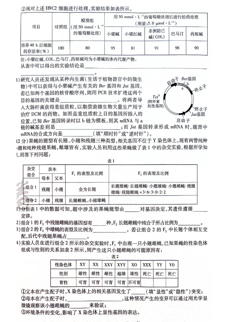 天星黑龙江押题卷生物AB卷电子版_2024高考押题卷_12024天星全系列_@@@天星临考押题密卷汇总重复_2024年tx高考临考押题密卷黑龙江专版