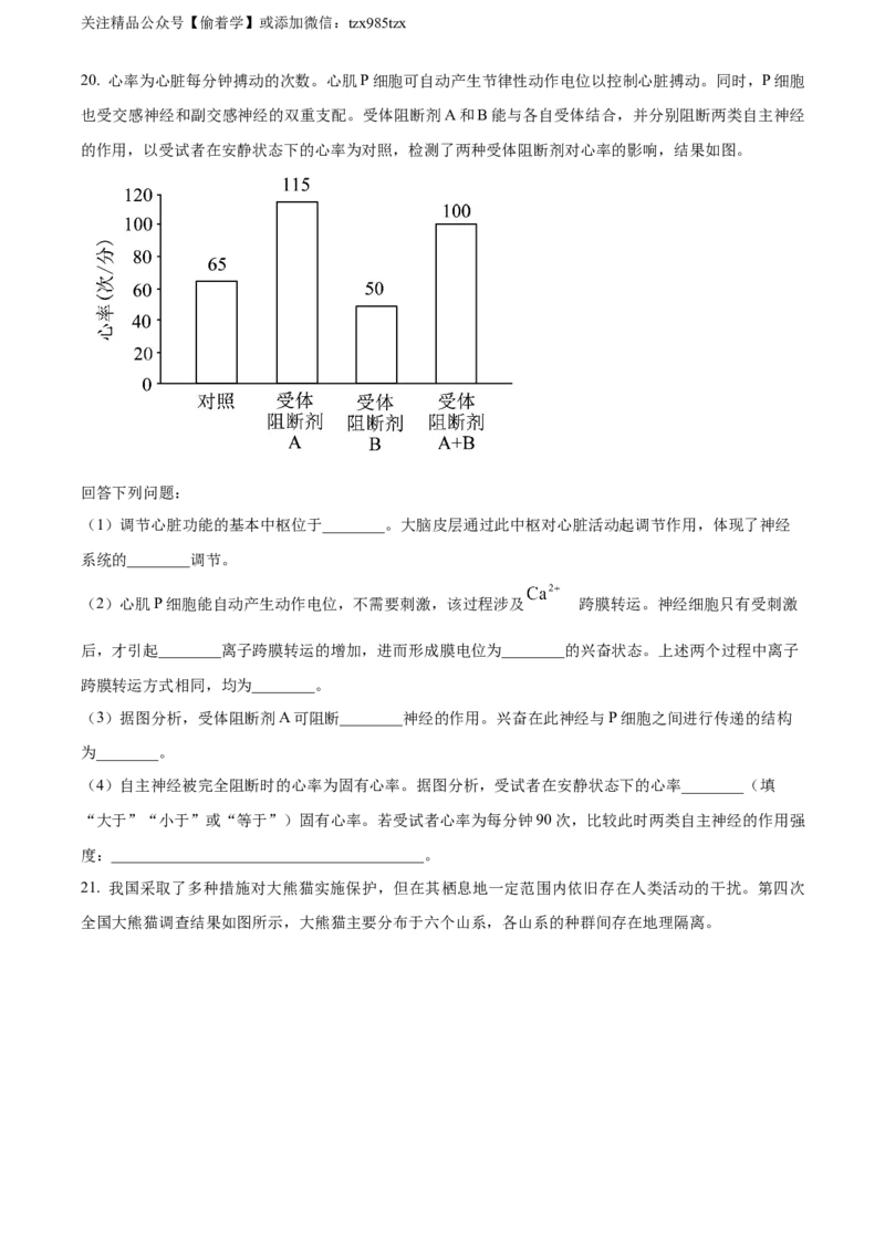 精品解析：2024年新课标高考真题河北生物试卷（原卷版）_高考真题全网收集_生物学_精品解析：2024年新高考河北卷生物高考真题解析（参考版）