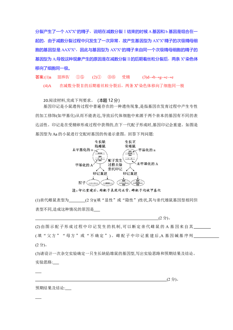 高三生物试题解析版_2025年10月_251030湖北省八校2026届高三上学期一模考试（全科）_湖北省八校2026届高三上学期一模考试生物试题（含答案）