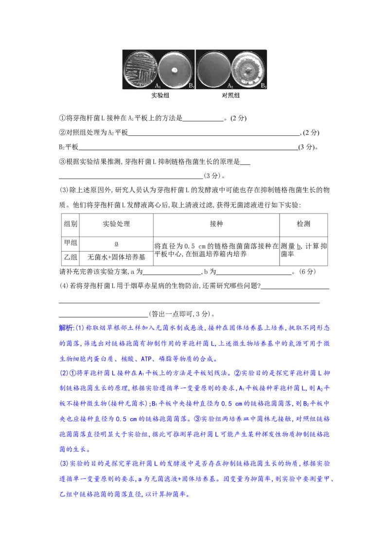 高三生物试题解析版_2025年10月_251030湖北省八校2026届高三上学期一模考试（全科）_湖北省八校2026届高三上学期一模考试生物试题（含答案）