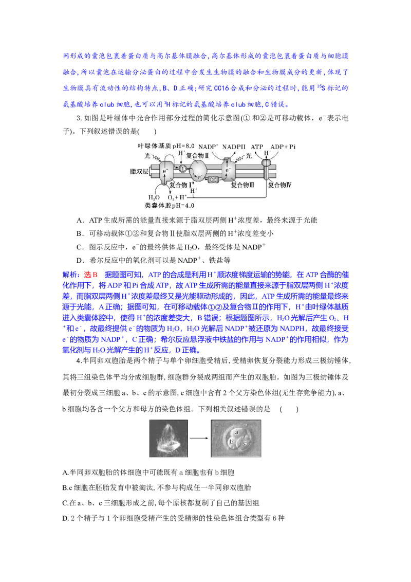 高三生物试题解析版_2025年10月_251030湖北省八校2026届高三上学期一模考试（全科）_湖北省八校2026届高三上学期一模考试生物试题（含答案）