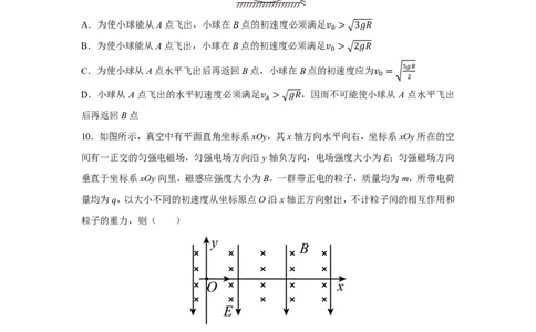 10_2024湖北卷点睛押题_2024高考押题卷_132024高途全系列_26高途点睛卷_2024点睛密卷-物理