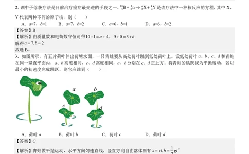 湖北物理-答案-p_近10年高考真题汇编（必刷）_2024年高考真题_高考真题（截止6.29）_湖北卷副科（6科全）
