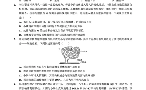 重庆实验外国语学校2025-2026学年度（上）高2026届1月期末考试（七）生物(1)_2026年1月_260120重庆实验外国语学校2025-2026学年度（上）高2026届1月期末考试（七）（全科）