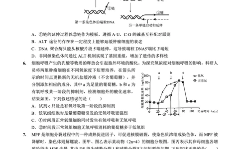 重庆实验外国语学校2025-2026学年度（上）高2026届1月期末考试（七）生物(1)_2026年1月_260120重庆实验外国语学校2025-2026学年度（上）高2026届1月期末考试（七）（全科）
