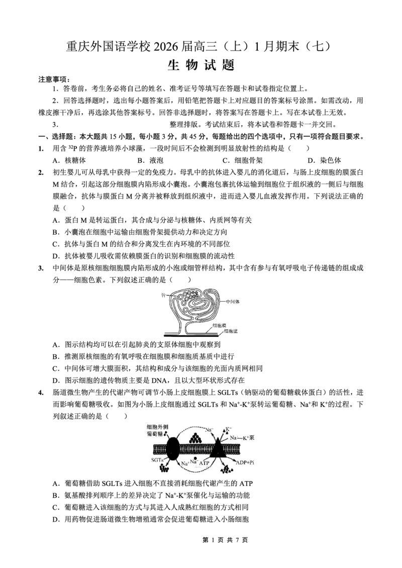 重庆实验外国语学校2025-2026学年度（上）高2026届1月期末考试（七）生物(1)_2026年1月_260120重庆实验外国语学校2025-2026学年度（上）高2026届1月期末考试（七）（全科）