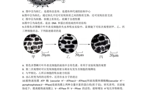 2024届高三一轮复习联考（一)河北卷生物试题_2023年9月_01每日更新_26号_2024届河北卷百师联盟高三一轮复习联考（一）_百师联盟2024届高三轮复习联考（一）河北卷生物