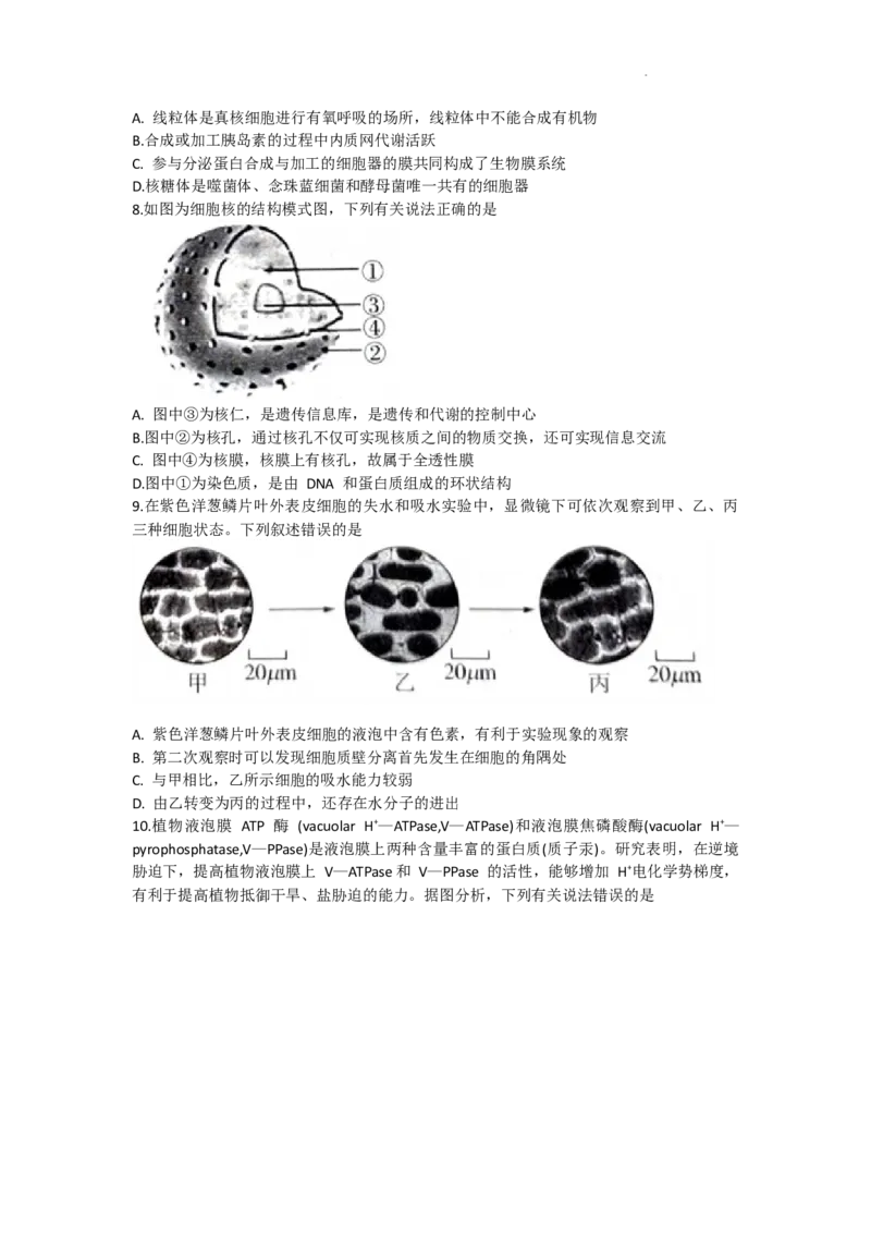 2024届高三一轮复习联考（一)河北卷生物试题_2023年9月_01每日更新_26号_2024届河北卷百师联盟高三一轮复习联考（一）_百师联盟2024届高三轮复习联考（一）河北卷生物
