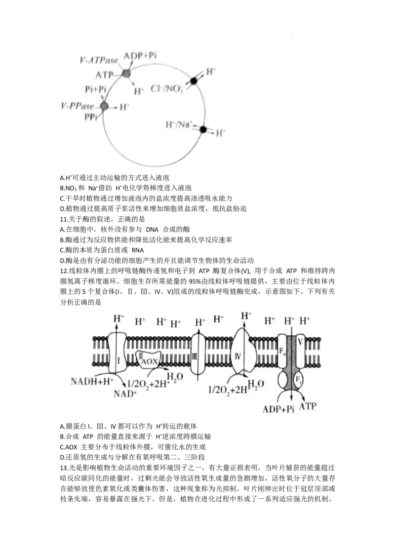 2024届高三一轮复习联考（一)河北卷生物试题_2023年9月_01每日更新_26号_2024届河北卷百师联盟高三一轮复习联考（一）_百师联盟2024届高三轮复习联考（一）河北卷生物