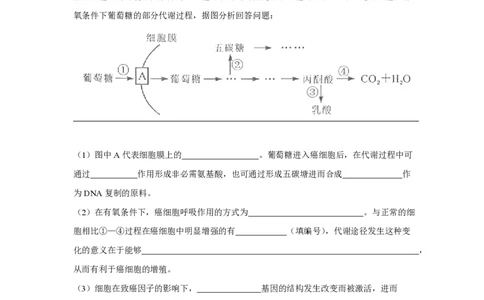 2012年高考生物试卷（四川）（解析卷）_生物历年高考真题_新&middot;PDF版2008-2025&middot;高考生物真题_生物（按试卷类型分类）2008-2025_自主命题卷&middot;生物（2008-2025）_四川自主命题&middot;生物（2008-2016）
