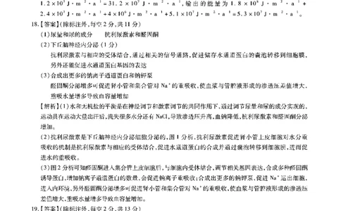 安徽省六校2026年元月高三素质检测考试生物答案(1)_2026年1月_260111安徽六校教育研究会2026届元月高三素质检测考试（全科）