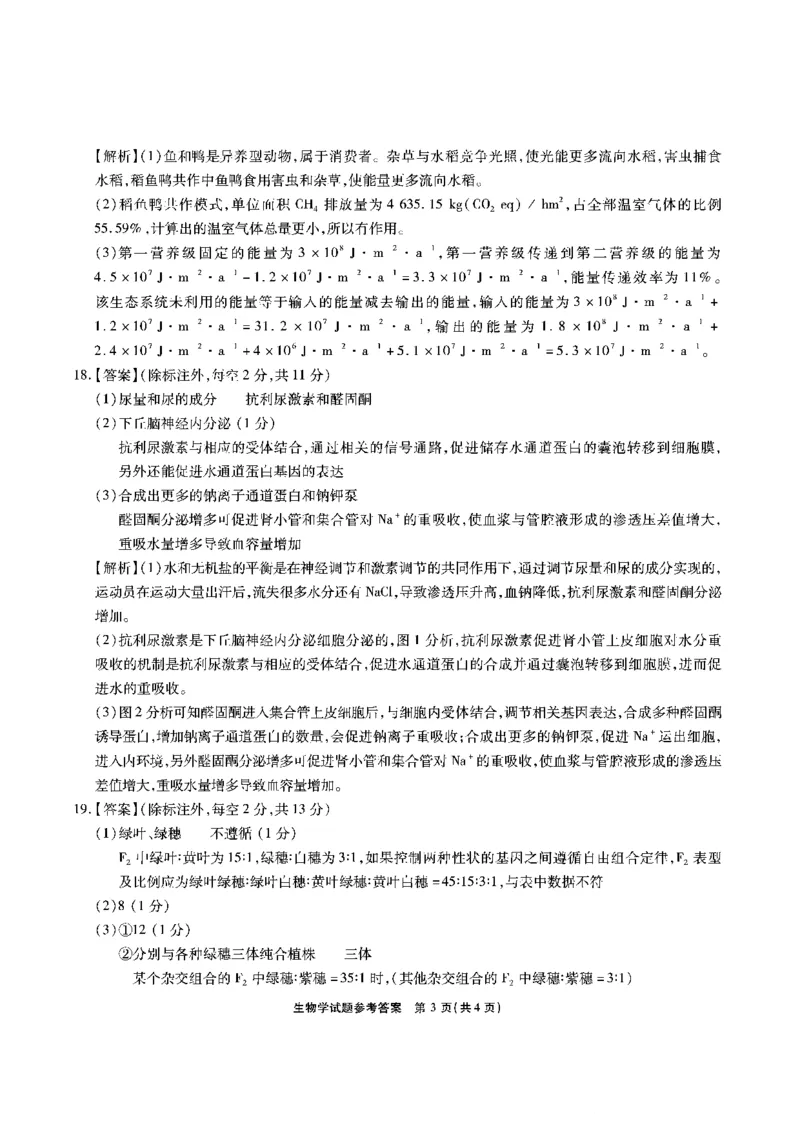 安徽省六校2026年元月高三素质检测考试生物答案(1)_2026年1月_260111安徽六校教育研究会2026届元月高三素质检测考试（全科）