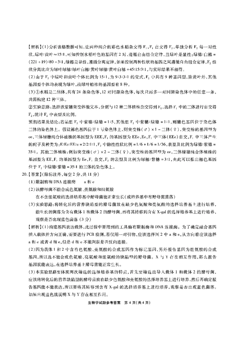安徽省六校2026年元月高三素质检测考试生物答案(1)_2026年1月_260111安徽六校教育研究会2026届元月高三素质检测考试（全科）