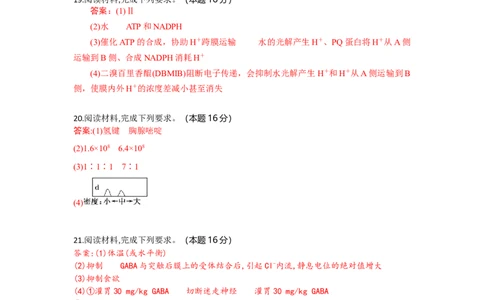 高三生物试题答案_2025年9月_250924湖北省部分高中协作体联考2025-2026学年高三上学期9月联考（全科）_湖北省部分高中协作体2025-2026学年高三上学期9月联考生物试题（含答案）