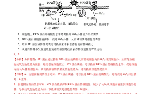 专题18基因工程（解析卷）_近10年高考真题汇编（必刷）_十年（2014-2024）高考生物真题分项汇编（全国通用）_2023年高考真题和模拟题生物分项汇编（全国通用）
