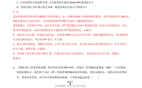 专题18基因工程（解析卷）_近10年高考真题汇编（必刷）_十年（2014-2024）高考生物真题分项汇编（全国通用）_2023年高考真题和模拟题生物分项汇编（全国通用）