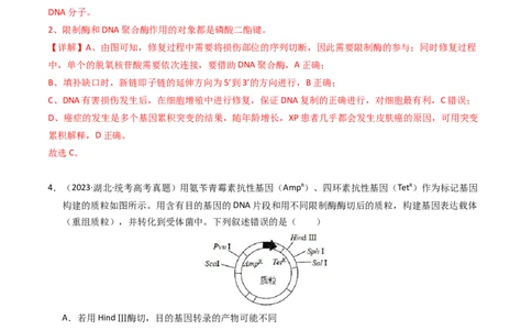 专题18基因工程（解析卷）_近10年高考真题汇编（必刷）_十年（2014-2024）高考生物真题分项汇编（全国通用）_2023年高考真题和模拟题生物分项汇编（全国通用）