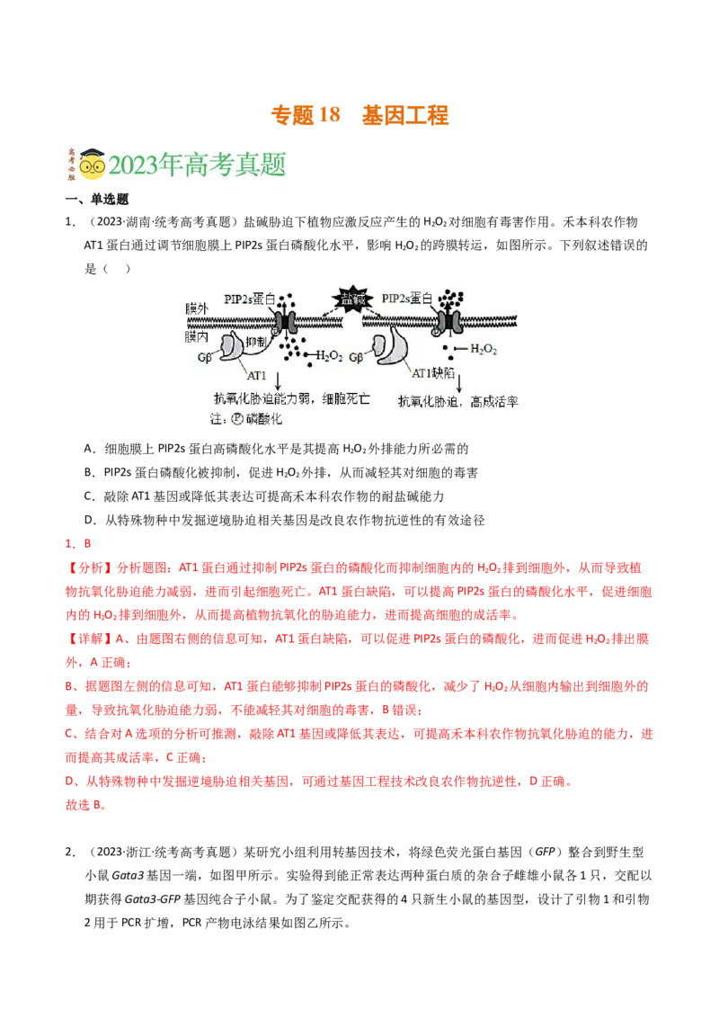 专题18基因工程（解析卷）_近10年高考真题汇编（必刷）_十年（2014-2024）高考生物真题分项汇编（全国通用）_2023年高考真题和模拟题生物分项汇编（全国通用）