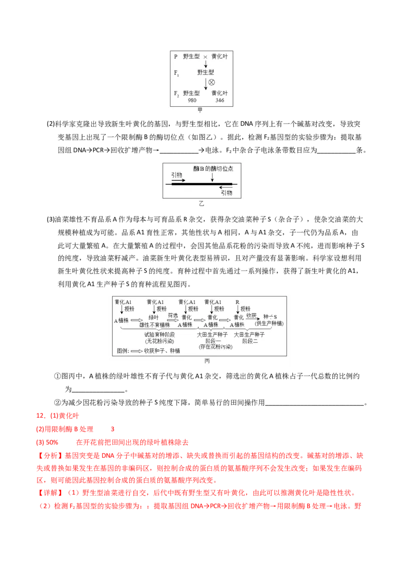 专题18基因工程（解析卷）_近10年高考真题汇编（必刷）_十年（2014-2024）高考生物真题分项汇编（全国通用）_2023年高考真题和模拟题生物分项汇编（全国通用）