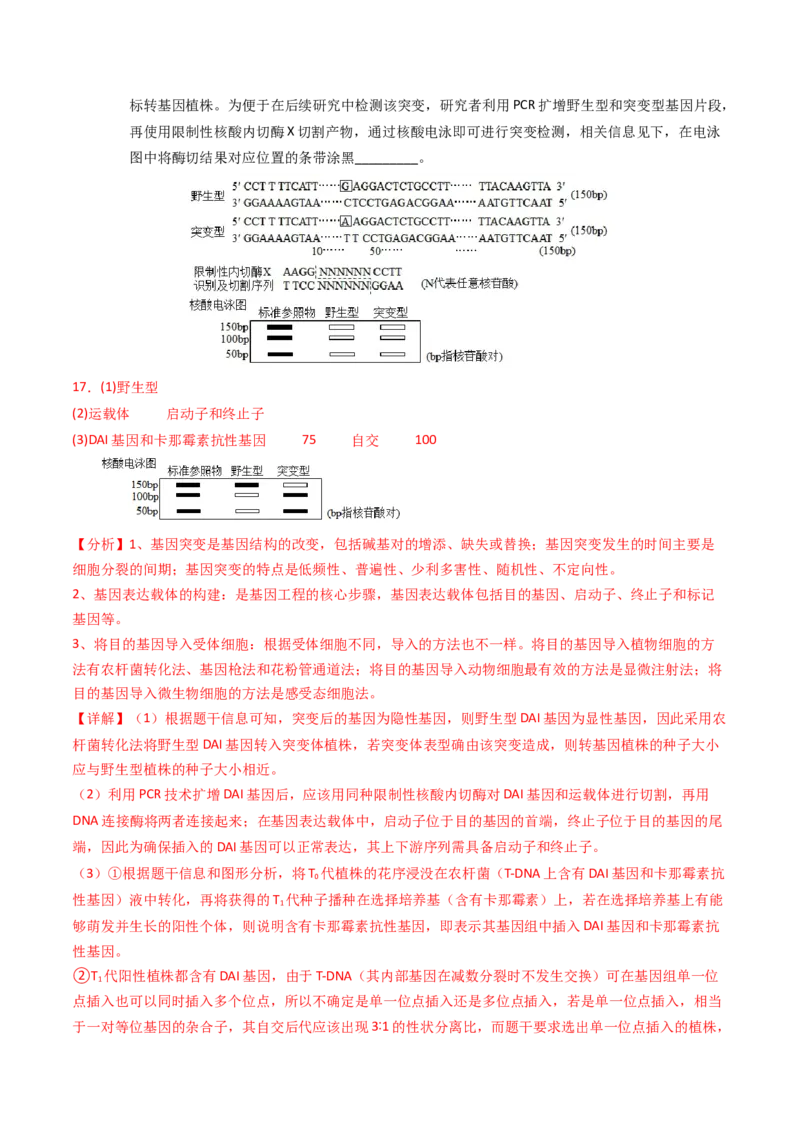 专题18基因工程（解析卷）_近10年高考真题汇编（必刷）_十年（2014-2024）高考生物真题分项汇编（全国通用）_2023年高考真题和模拟题生物分项汇编（全国通用）