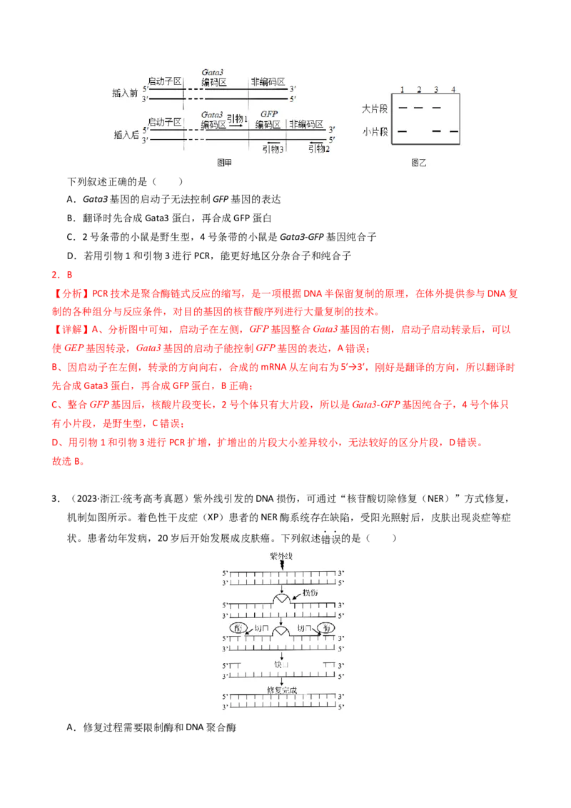 专题18基因工程（解析卷）_近10年高考真题汇编（必刷）_十年（2014-2024）高考生物真题分项汇编（全国通用）_2023年高考真题和模拟题生物分项汇编（全国通用）