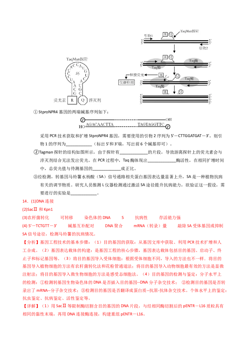 专题18基因工程（解析卷）_近10年高考真题汇编（必刷）_十年（2014-2024）高考生物真题分项汇编（全国通用）_2023年高考真题和模拟题生物分项汇编（全国通用）