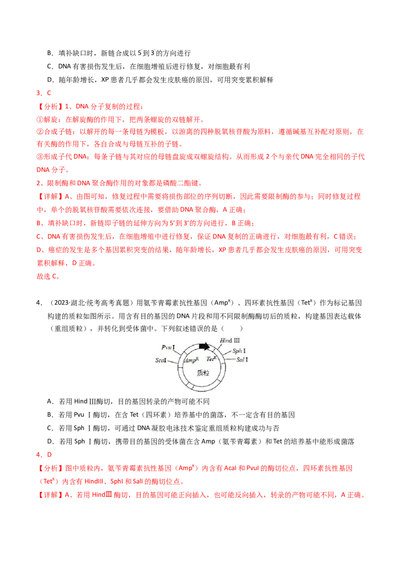 专题18基因工程（解析卷）_近10年高考真题汇编（必刷）_十年（2014-2024）高考生物真题分项汇编（全国通用）_2023年高考真题和模拟题生物分项汇编（全国通用）