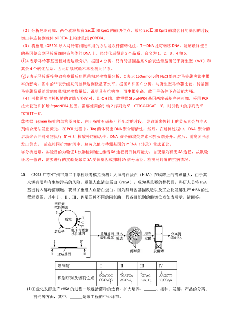 专题18基因工程（解析卷）_近10年高考真题汇编（必刷）_十年（2014-2024）高考生物真题分项汇编（全国通用）_2023年高考真题和模拟题生物分项汇编（全国通用）