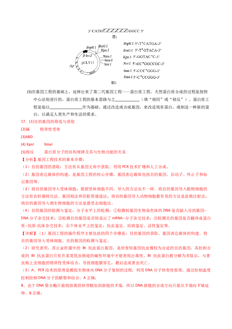 专题18基因工程（解析卷）_近10年高考真题汇编（必刷）_十年（2014-2024）高考生物真题分项汇编（全国通用）_2023年高考真题和模拟题生物分项汇编（全国通用）