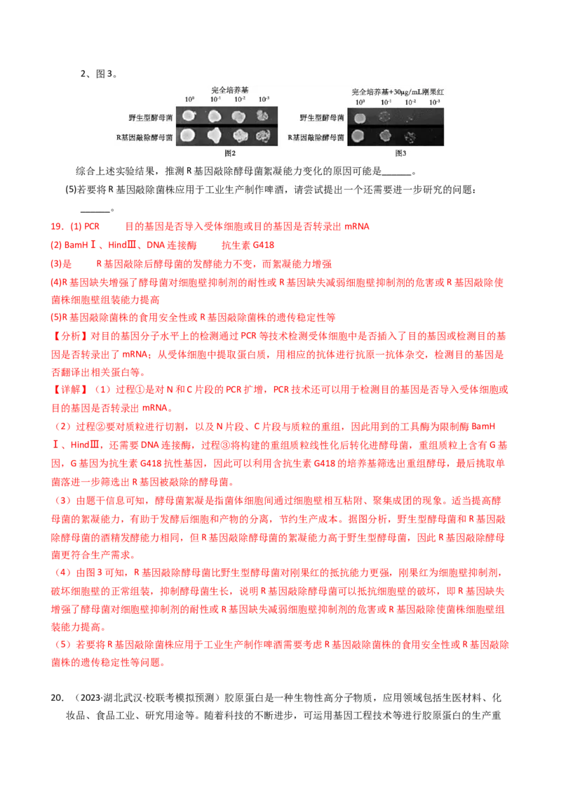专题18基因工程（解析卷）_近10年高考真题汇编（必刷）_十年（2014-2024）高考生物真题分项汇编（全国通用）_2023年高考真题和模拟题生物分项汇编（全国通用）