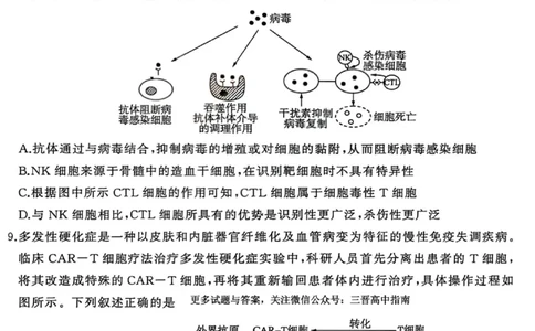 生物试卷-2026年1月高三九省联考(1)_2026年1月_260122百师联盟2026届高三九省联考1月期末考试（全科）_百师联盟2025-2026学年高三上学期1月期末联考生物试题含答案