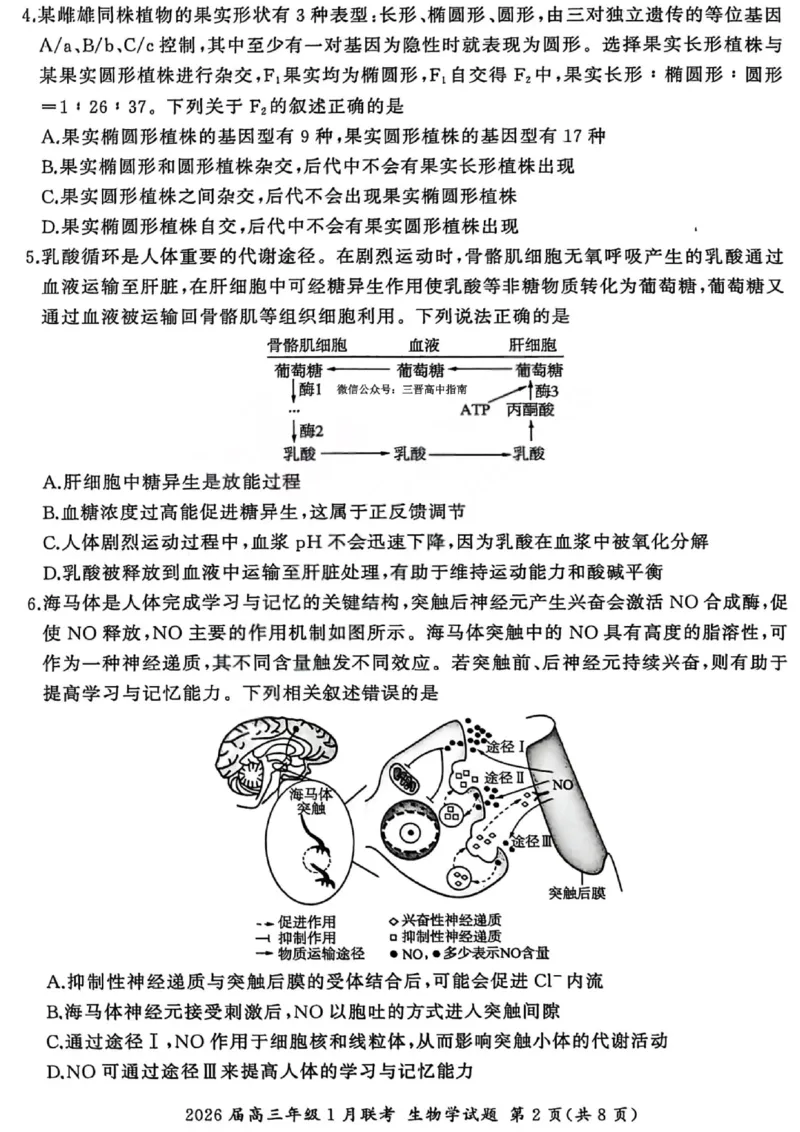 生物试卷-2026年1月高三九省联考(1)_2026年1月_260122百师联盟2026届高三九省联考1月期末考试（全科）_百师联盟2025-2026学年高三上学期1月期末联考生物试题含答案