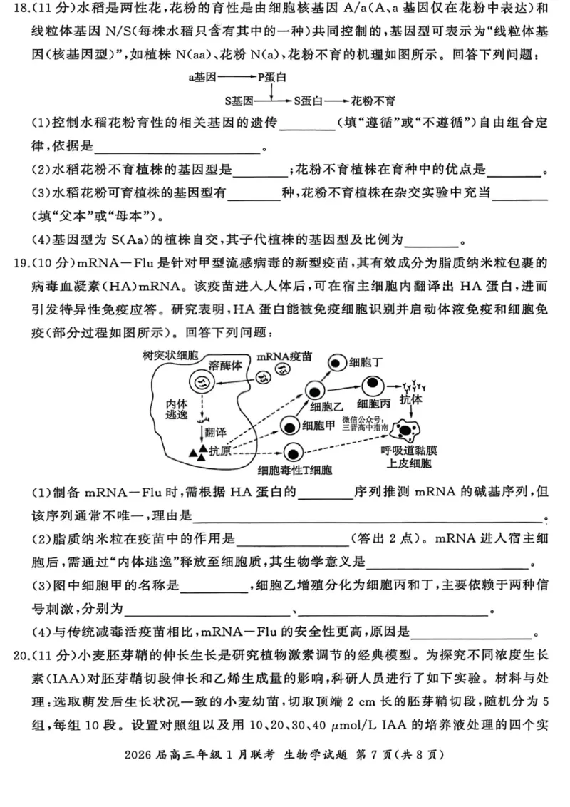 生物试卷-2026年1月高三九省联考(1)_2026年1月_260122百师联盟2026届高三九省联考1月期末考试（全科）_百师联盟2025-2026学年高三上学期1月期末联考生物试题含答案