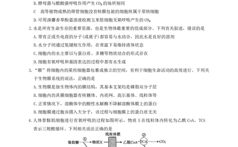海南中学2026届高三年级第3次月考生物(1)_2026年1月_260103海南省海口市海南中学2025-2026学年高三上学期12月月考