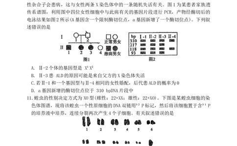 海南中学2026届高三年级第3次月考生物(1)_2026年1月_260103海南省海口市海南中学2025-2026学年高三上学期12月月考