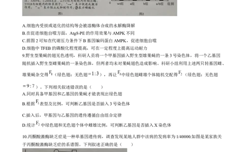 湖北省孝感市2026届高三上学期第一次统一考试生物试卷（含答案）(1)_2026年1月_260127湖北省孝感市2026届高三年级第一次统一考试（全科）