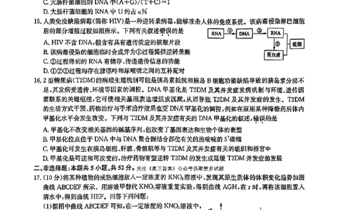 2025届九师联盟高三11月联考生物+答案_11月_2411052025届九师联盟高三11月联考（11.5-11.6）