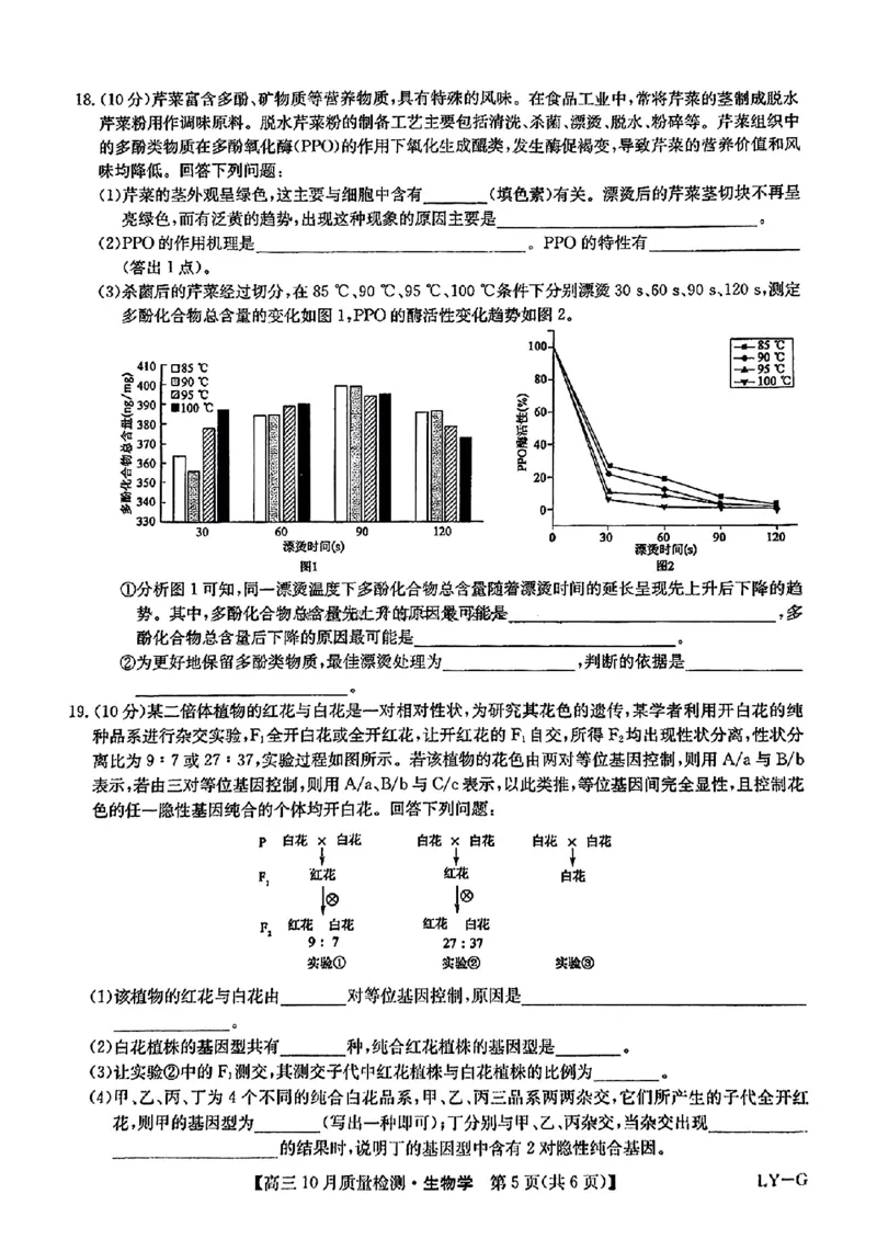 2025届九师联盟高三11月联考生物+答案_11月_2411052025届九师联盟高三11月联考（11.5-11.6）