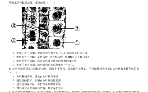 浙江生物-1月-试题-p_近10年高考真题汇编（必刷）_2024年高考真题_高考真题（截止6.29）_其他地方卷（目前搜集不完整）_浙江卷（1月全，6月化、通用技术、信息技术）