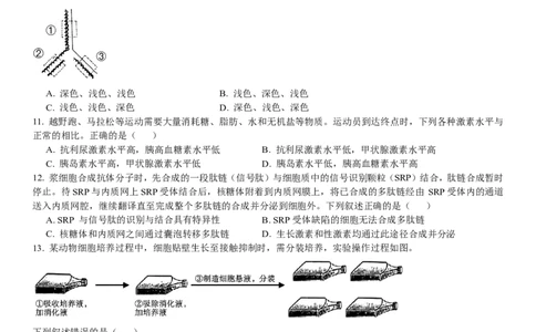 浙江生物-1月-试题-p_近10年高考真题汇编（必刷）_2024年高考真题_高考真题（截止6.29）_其他地方卷（目前搜集不完整）_浙江卷（1月全，6月化、通用技术、信息技术）