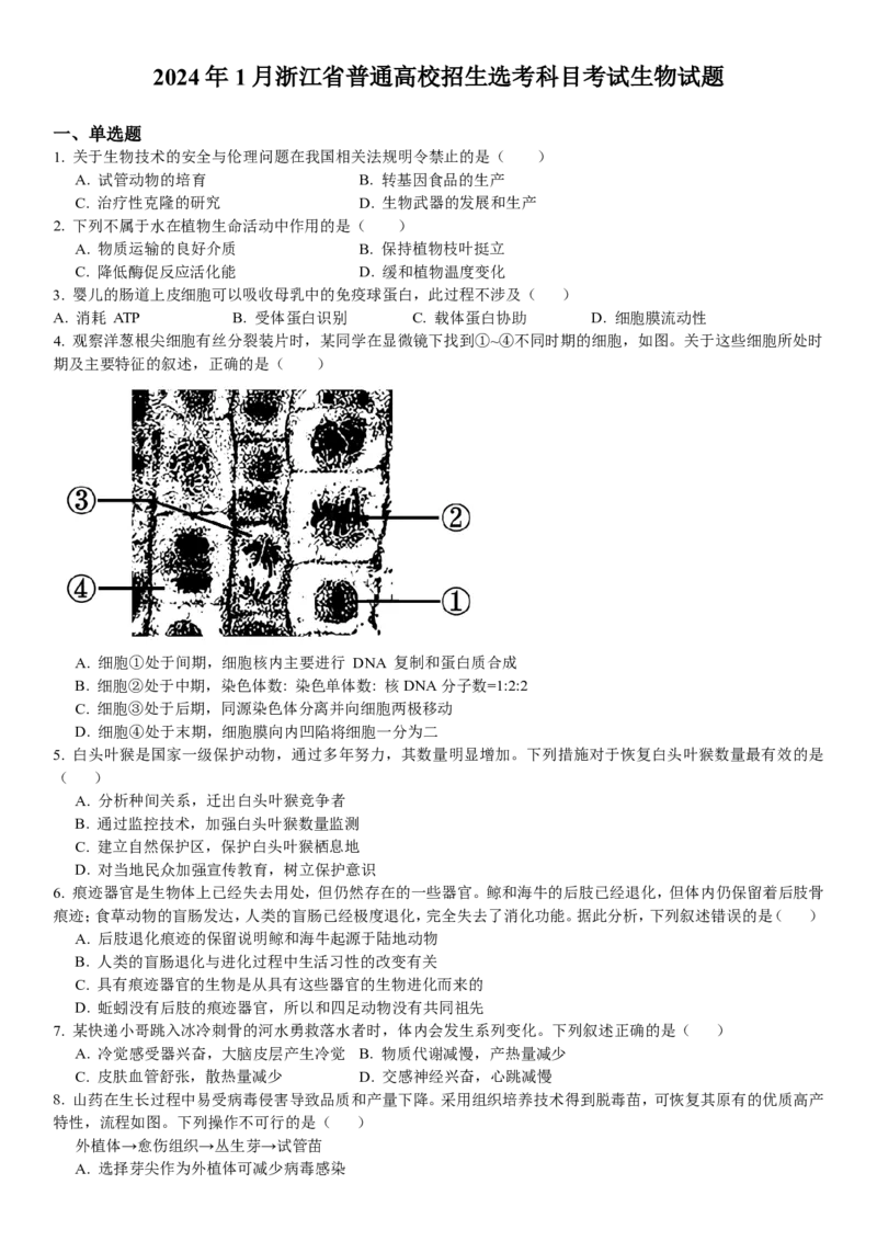 浙江生物-1月-试题-p_近10年高考真题汇编（必刷）_2024年高考真题_高考真题（截止6.29）_其他地方卷（目前搜集不完整）_浙江卷（1月全，6月化、通用技术、信息技术）