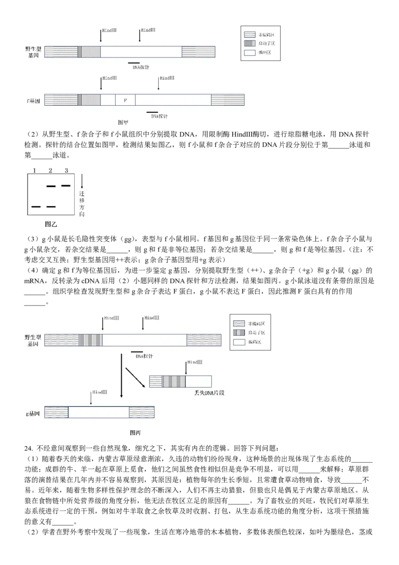 浙江生物-1月-试题-p_近10年高考真题汇编（必刷）_2024年高考真题_高考真题（截止6.29）_其他地方卷（目前搜集不完整）_浙江卷（1月全，6月化、通用技术、信息技术）