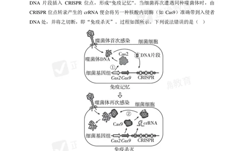 四月生物每周好题精选（第1周）_2024高考押题卷_152024其他平台全系列_资料2024版（名校︱机构）备考押题资料_（冲刺高考）正确云&middot;四月每周好题精选（第1周）