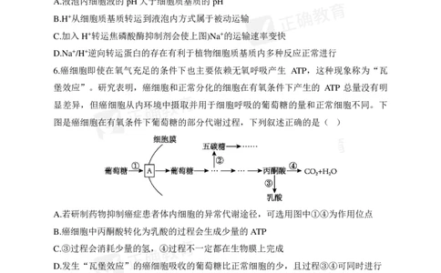 四月生物每周好题精选（第1周）_2024高考押题卷_152024其他平台全系列_资料2024版（名校︱机构）备考押题资料_（冲刺高考）正确云&middot;四月每周好题精选（第1周）