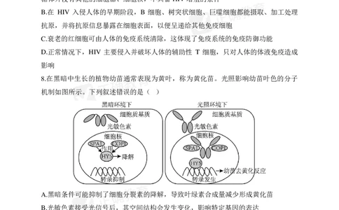 四月生物每周好题精选（第1周）_2024高考押题卷_152024其他平台全系列_资料2024版（名校︱机构）备考押题资料_（冲刺高考）正确云&middot;四月每周好题精选（第1周）