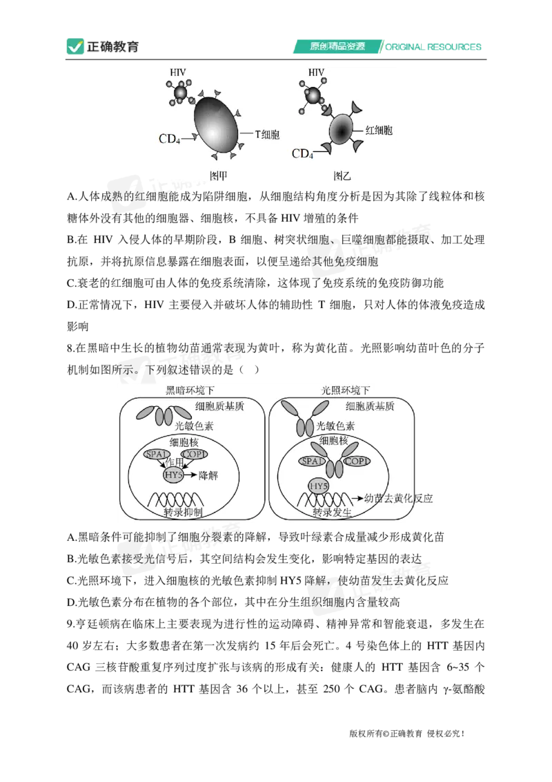 四月生物每周好题精选（第1周）_2024高考押题卷_152024其他平台全系列_资料2024版（名校︱机构）备考押题资料_（冲刺高考）正确云&middot;四月每周好题精选（第1周）