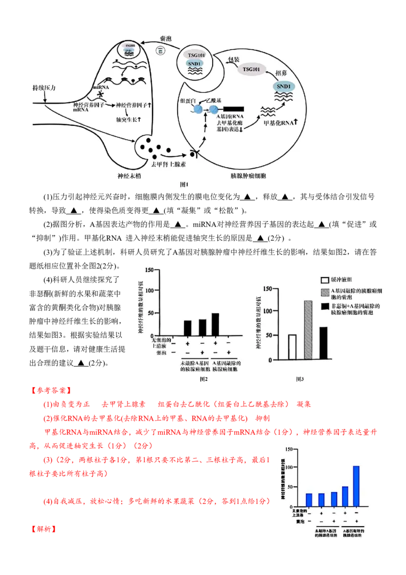 安徽省合肥一中2025-2026学年高三上学期1月考试生物答案(1)_2026年1月_260116安徽省合肥一中2025-2026学年高三上学期1月考试（全科）